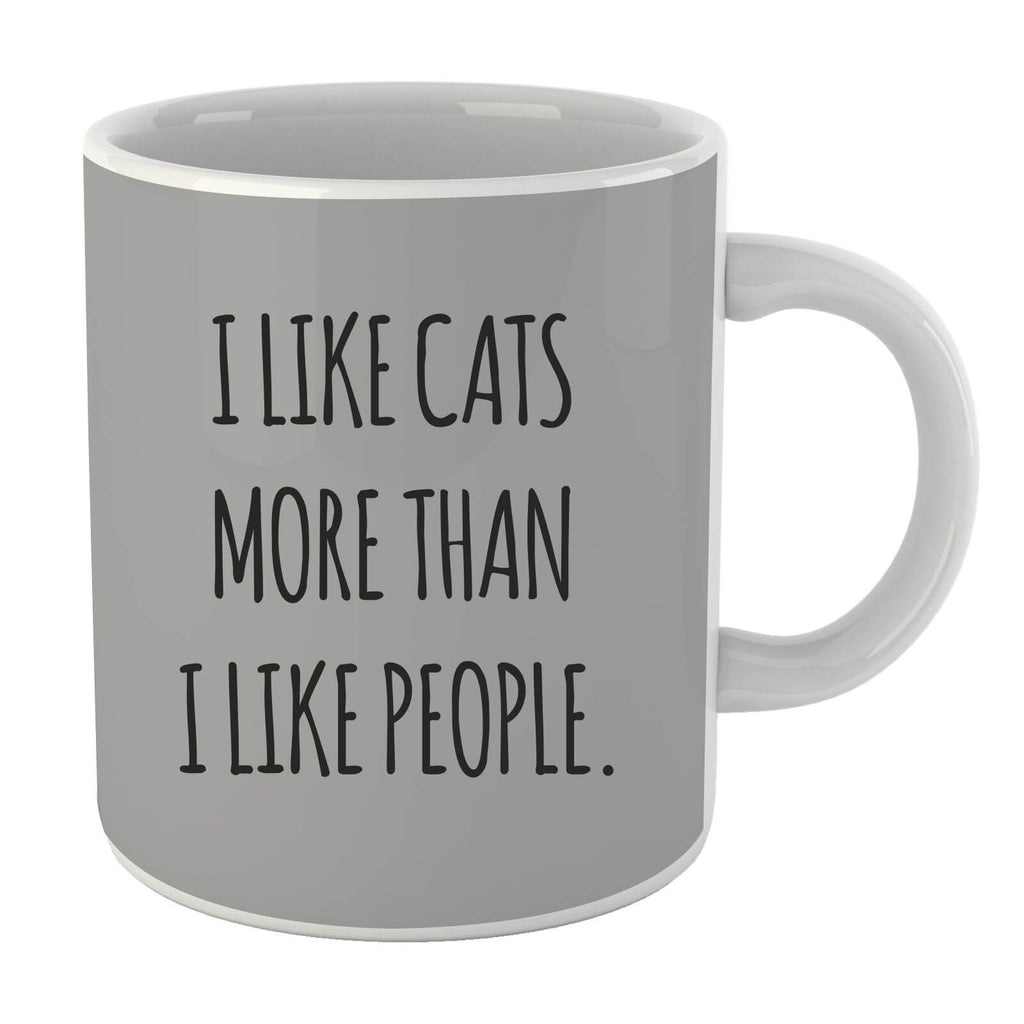 I Like Cats More Than People Mug