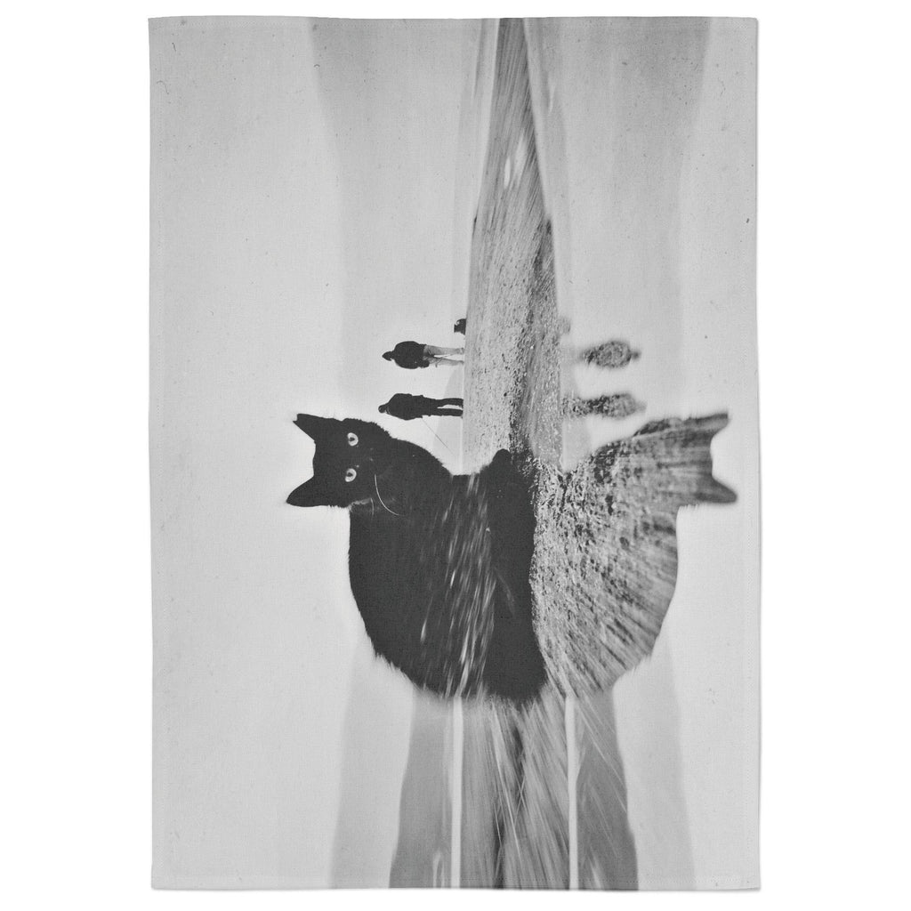 Black Beauty Cotton Tea Towel - White