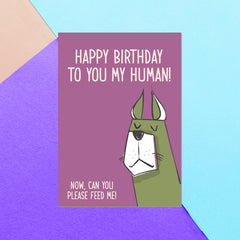 Happy Birthday To My Human Greetings Card